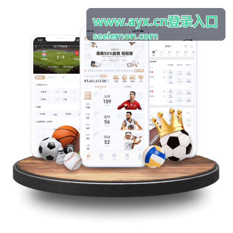 AYX 登录入口账号信息填写界面示意