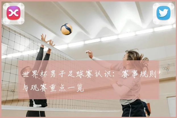 世界杯男子足球赛认识：赛事规则与观赛重点一览