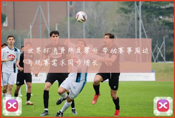 世界杯消费热度攀升 带动赛事周边与观赛需求同步增长