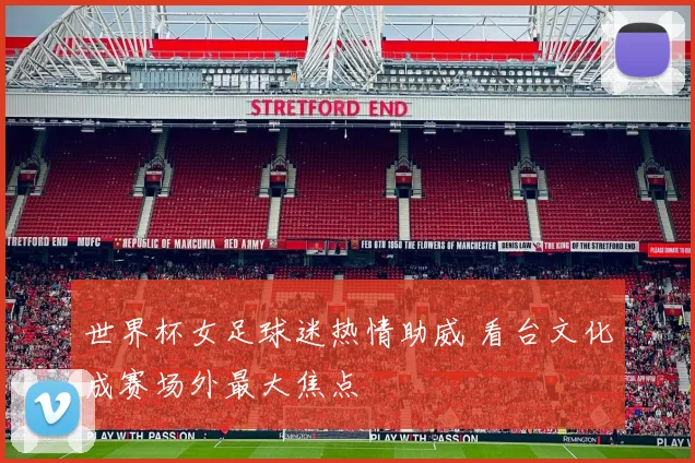 世界杯女足球迷热情助威 看台文化成赛场外最大焦点