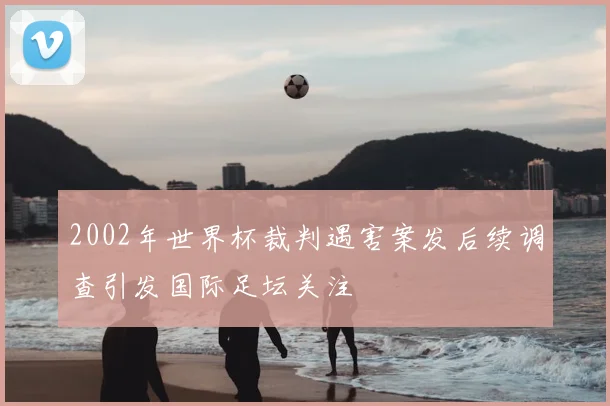 2002年世界杯裁判遇害案发后续调查引发国际足坛关注