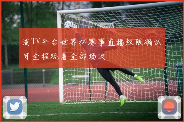淘TV平台世界杯赛事直播权限确认可全程观看全部场次