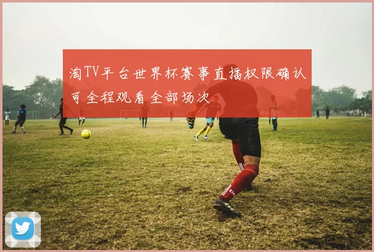 淘TV平台世界杯赛事直播权限确认可全程观看全部场次